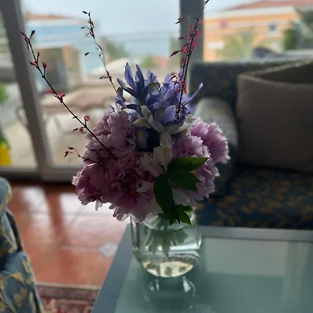 Apartment 5 Star Luxury Sea View Terrace Skiper *